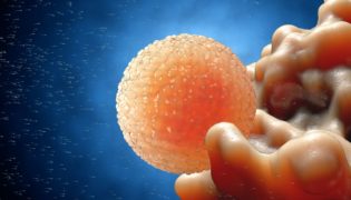 Was versteht man unter einem Eisprung und wie lässt er sich berechnen?