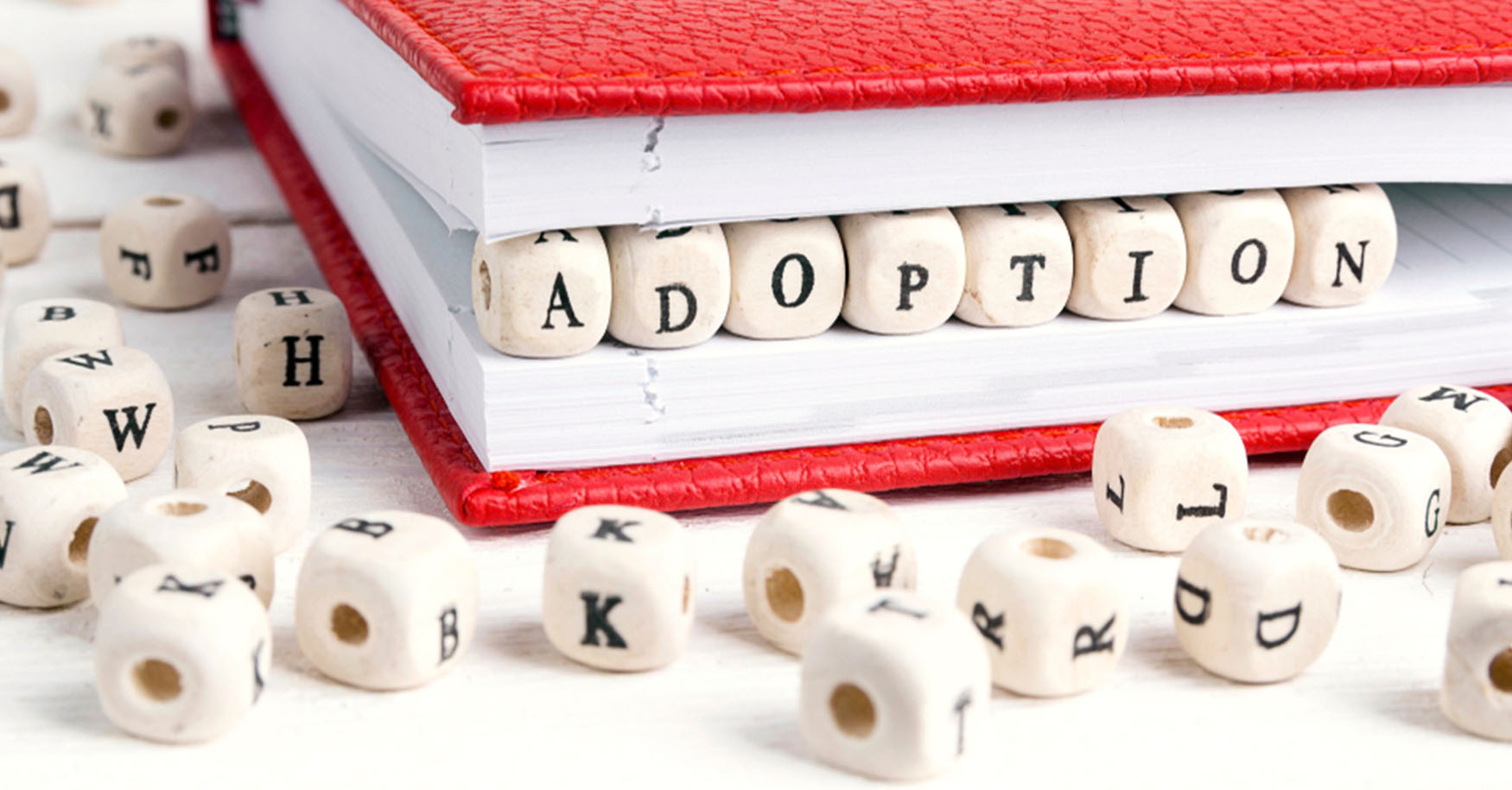 Adoption