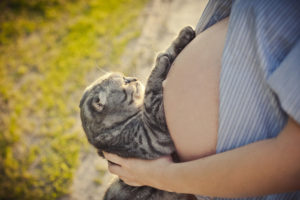 toxoplasmose