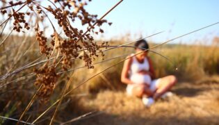 Wochengeld und Mutterschaftsgeld im Vergleich – das sind die Unterschiede