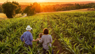 Bauernhof macht Babys gesund