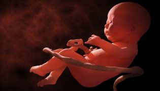 Der Weg des Kindes durch den Geburtskanal