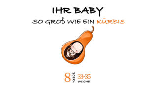 SSW 33 (Schwangerschaftswoche 33)