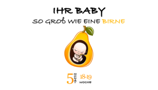 SSW 19 (Schwangerschaftswoche 19)