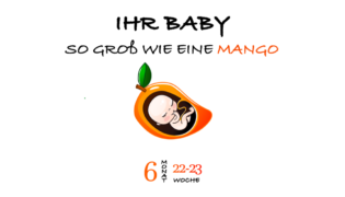 SSW 23 (Schwangerschaftswoche 23)