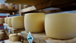 Rohmilchkäse in der Schwangerschaft