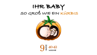 SSW 40 (Schwangerschaftswoche 40)